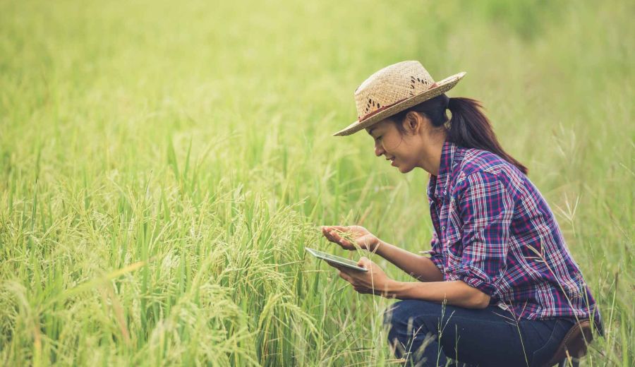 Carbon Farm Hub: Agricultura de carbono y claves para un futuro sostenible