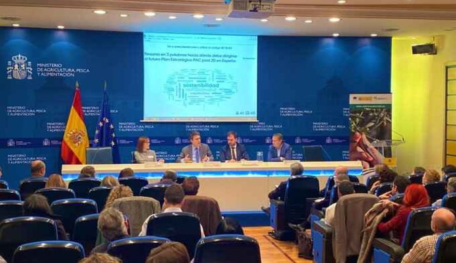 Ponencias de la jornada de debate sobre la situación de los trabajos de elaboración del Plan Estratégico Nacional de la PAC 2021-2027