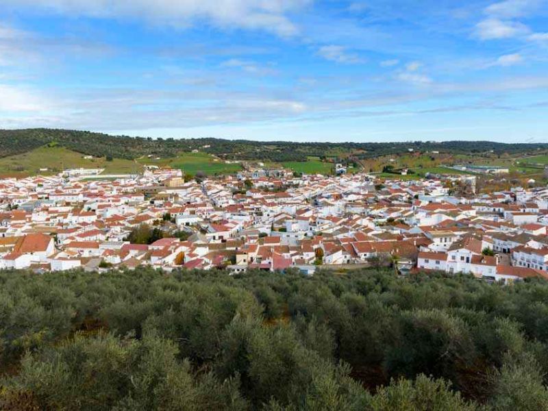 El Gobierno y el Consejo Económico y Social de España coinciden en la importancia de no asociar “atraso” al medio rural