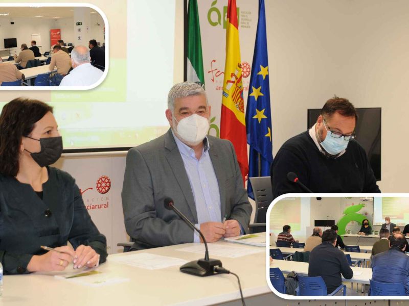 David J. García Ostos: “La incorporación de remanentes en la próxima convocatoria LEADER acelerará la ejecución de proyectos de emprendedores rurales”