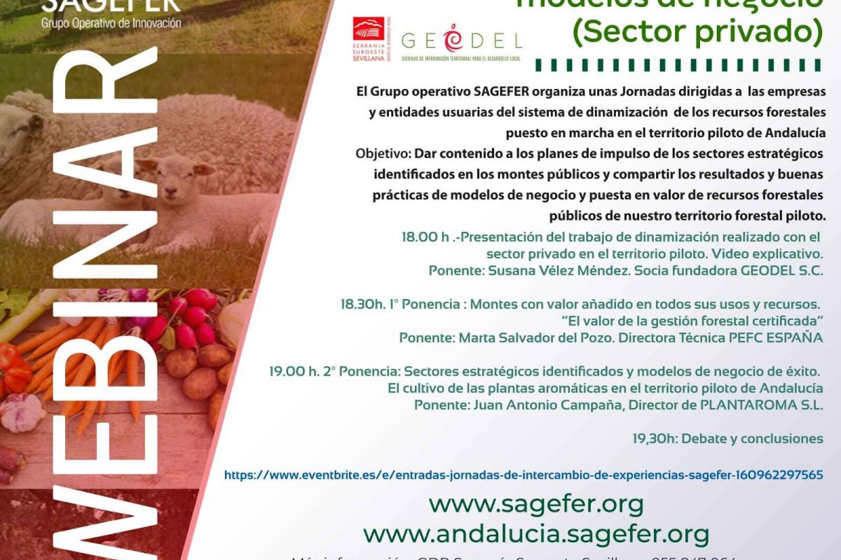El GDR Serranía Suroeste Sevillana organiza la jornada “Experiencias SAGEFER sectores estratégicos y modelos de negocio”