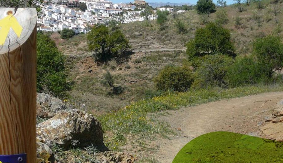 Catorce Grupos de Desarrollo Rural andaluces participan en el proyecto Semtayr para mejorar la experiencia peregrina en cuatro Caminos Jacoveos