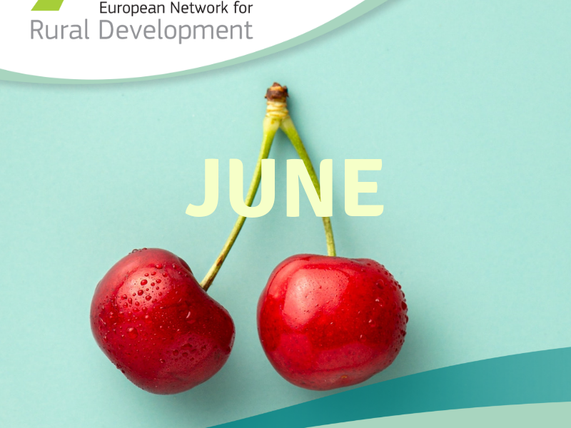 La Red Europea de Desarrollo Rural publica su boletín de junio con la actualidad europea sobre desarrollo rural y destaca la plataforma SmartREDR