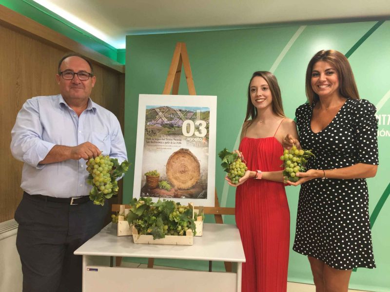 Iznate  en la Axarquía de Málaga celebra el sábado el XXI Día de la Uva Moscatel homenajeando un producto de tradición milenaria