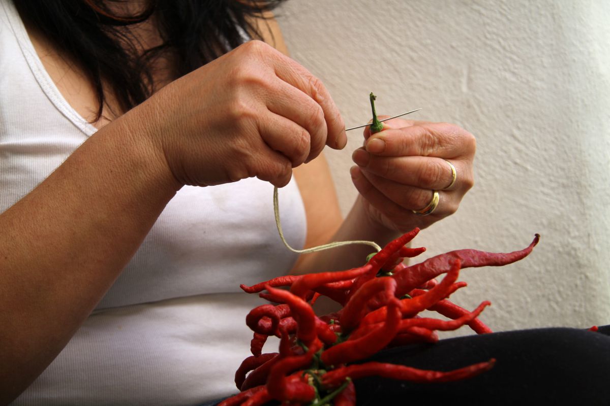 Andalucía aprueba el proyecto de ley del Estatuto de las Mujeres Rurales y del Mar