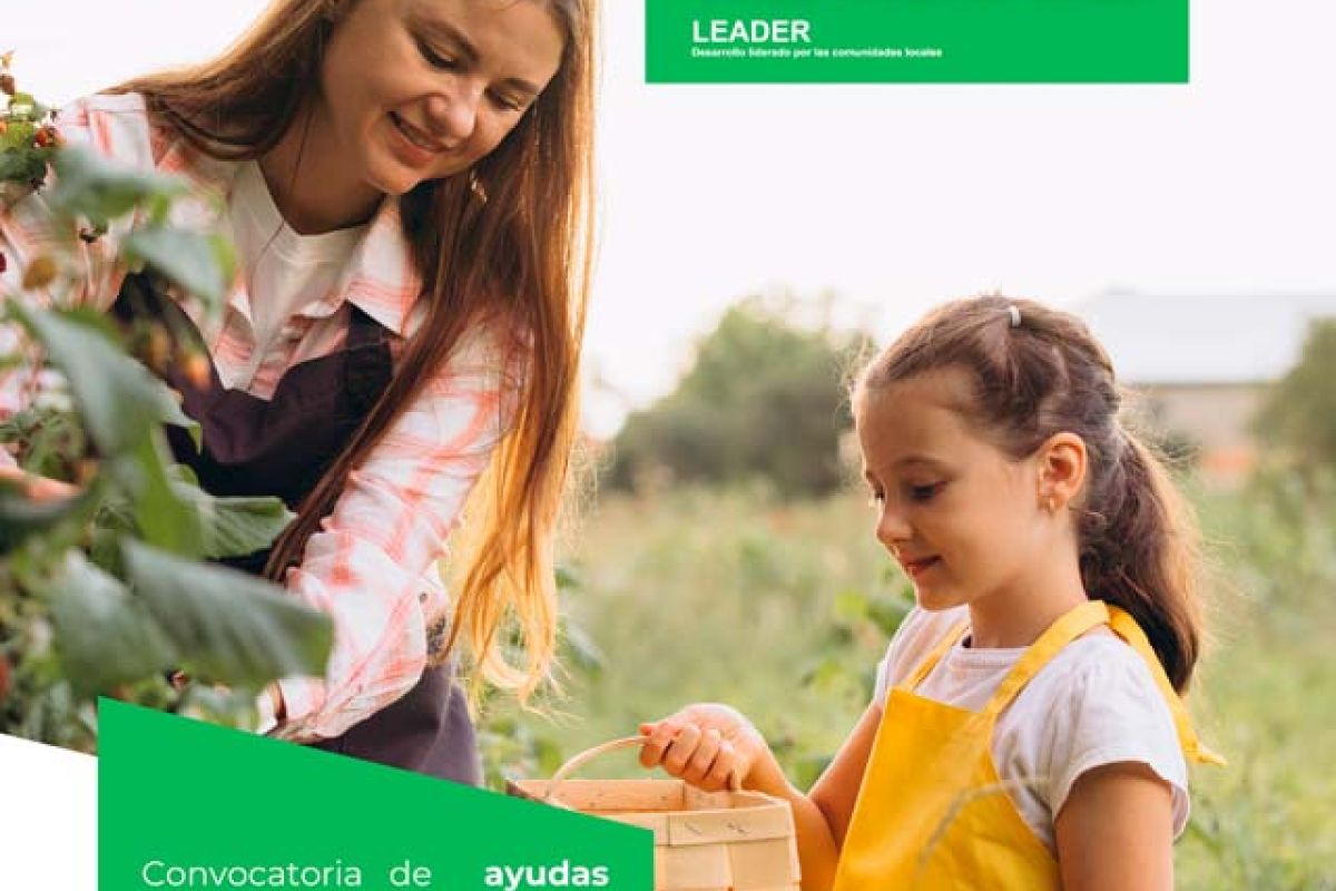 ARA reúne a los Grupos de Desarrollo Rural de Andalucía para avanzar en la convocatoria de ayudas LEADER 2023-2027