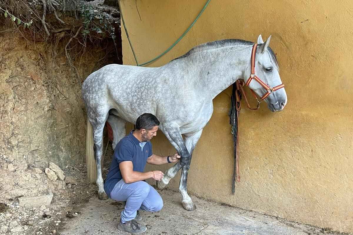 Al rescate de una profesión en peligro de extinción en la Sierra de Aracena y Picos de Aroche