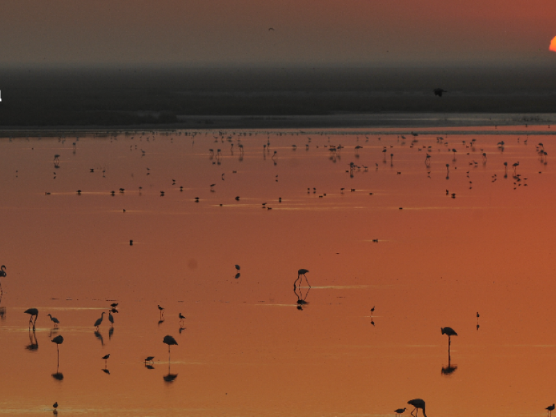 ARA coordinará Doñana Cero Emisiones, un proyecto de descarbonización y economía circular en el Espacio Natural de Doñana