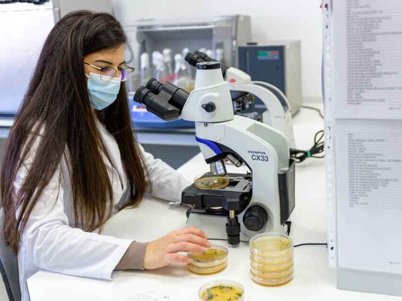El Ministerio de Agricultura, Pesca y Alimentación destina 12M€ a subvencionar proyectos de innovación de la Asociación Europea para la Innovación