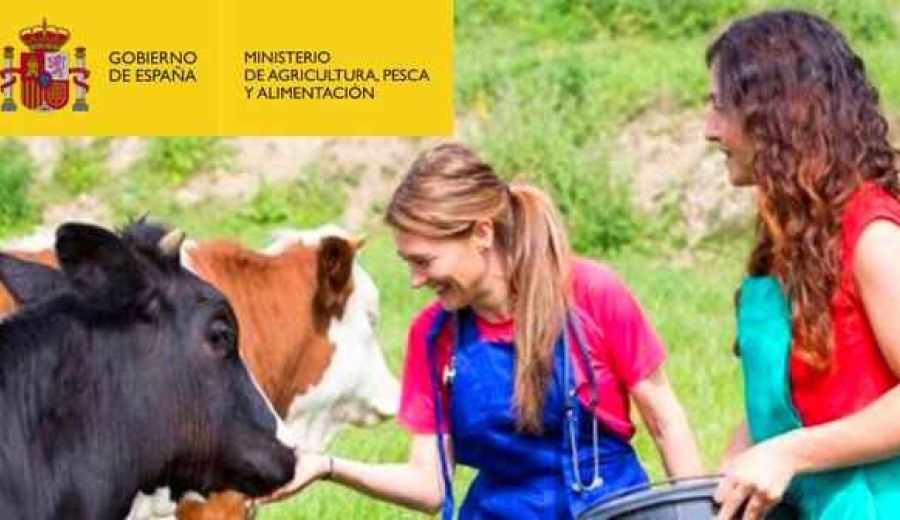 El Ministerio de Agricultura, Pesca y Alimentación convoca ayudas a programas de formación dirigidos a los profesionales del medio rural