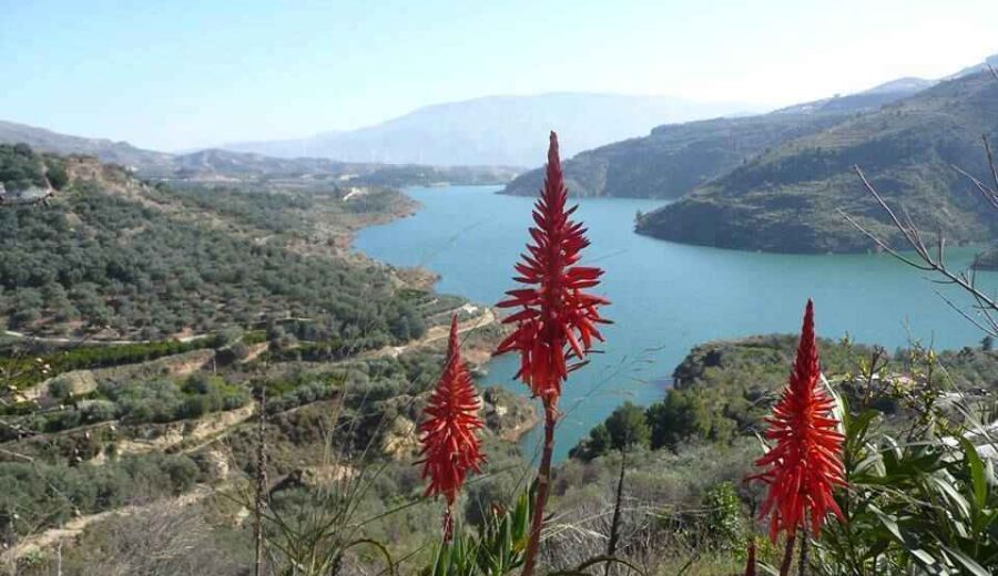 El GDR Valle de Lecrín, Temple y Costa concede 705.000 € de ayudas LEADER a 18 proyectos en la comarca