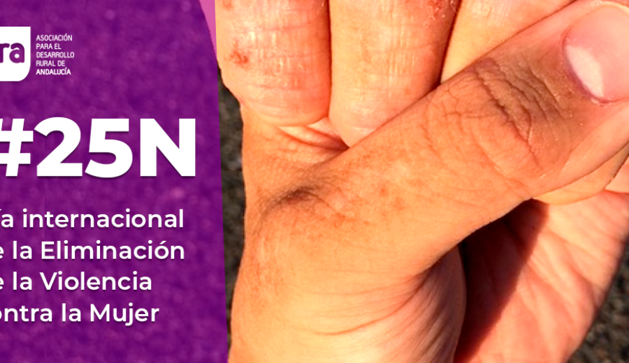 25N, Día Internacional de la Eliminación de la Violencia contra la Mujer
