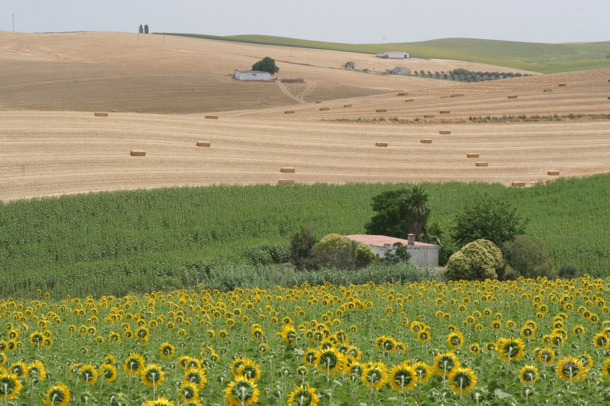 El Comité de las Regiones reclama a la UE un Programa Rural y una mayor inversión en zonas rurales