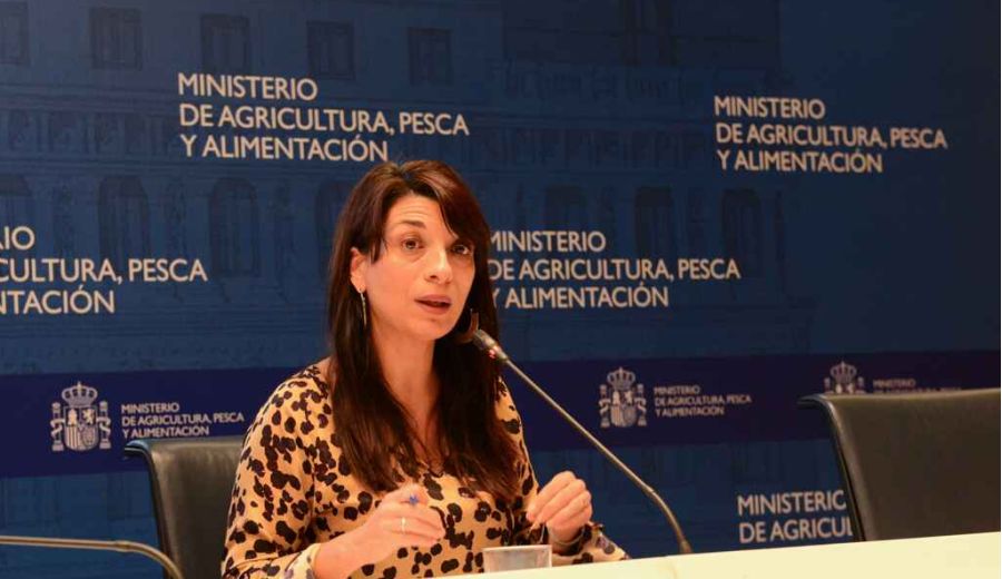 Primera reunión del grupo de trabajo de jóvenes, mujeres y despoblamiento en el marco de la elaboración del Plan Estratégico de la PAC