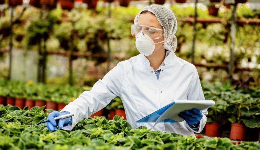 Subvenciones supraautonómicas para innovación, formación y transferencia de conocimiento en el PEPAC y Grupos de Desarrollo Rural