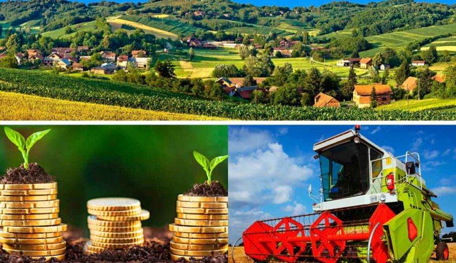 Europa y el medio rural: cultivar nuestro propio jardín, el método LEADER