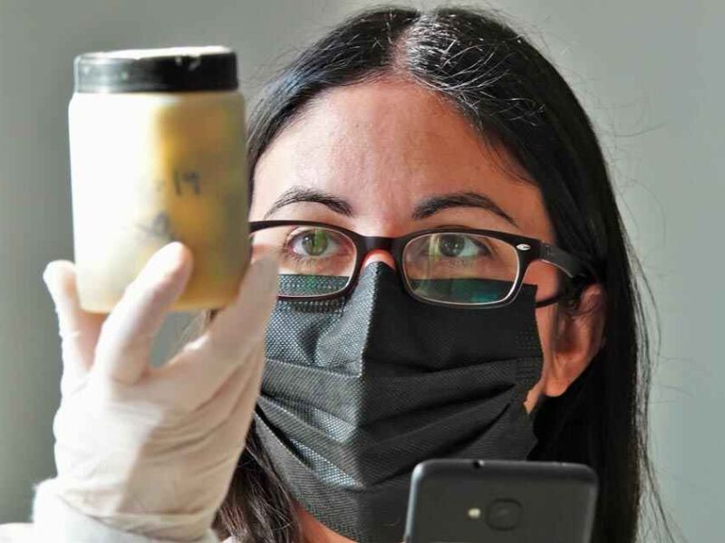 Grupos Operativos: cooperación para innovar en el medio rural