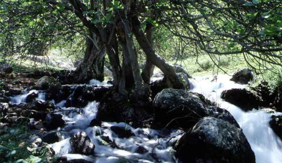El Consejo de Gobierno declara diez nuevos monumentos naturales en Andalucía