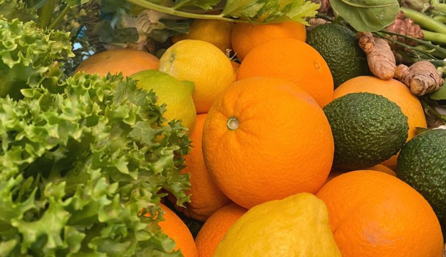 El GDR Valle del Guadalhorce participa en el proyecto “Sabor y Conciencia: Tu Plato, Tu Impacto”