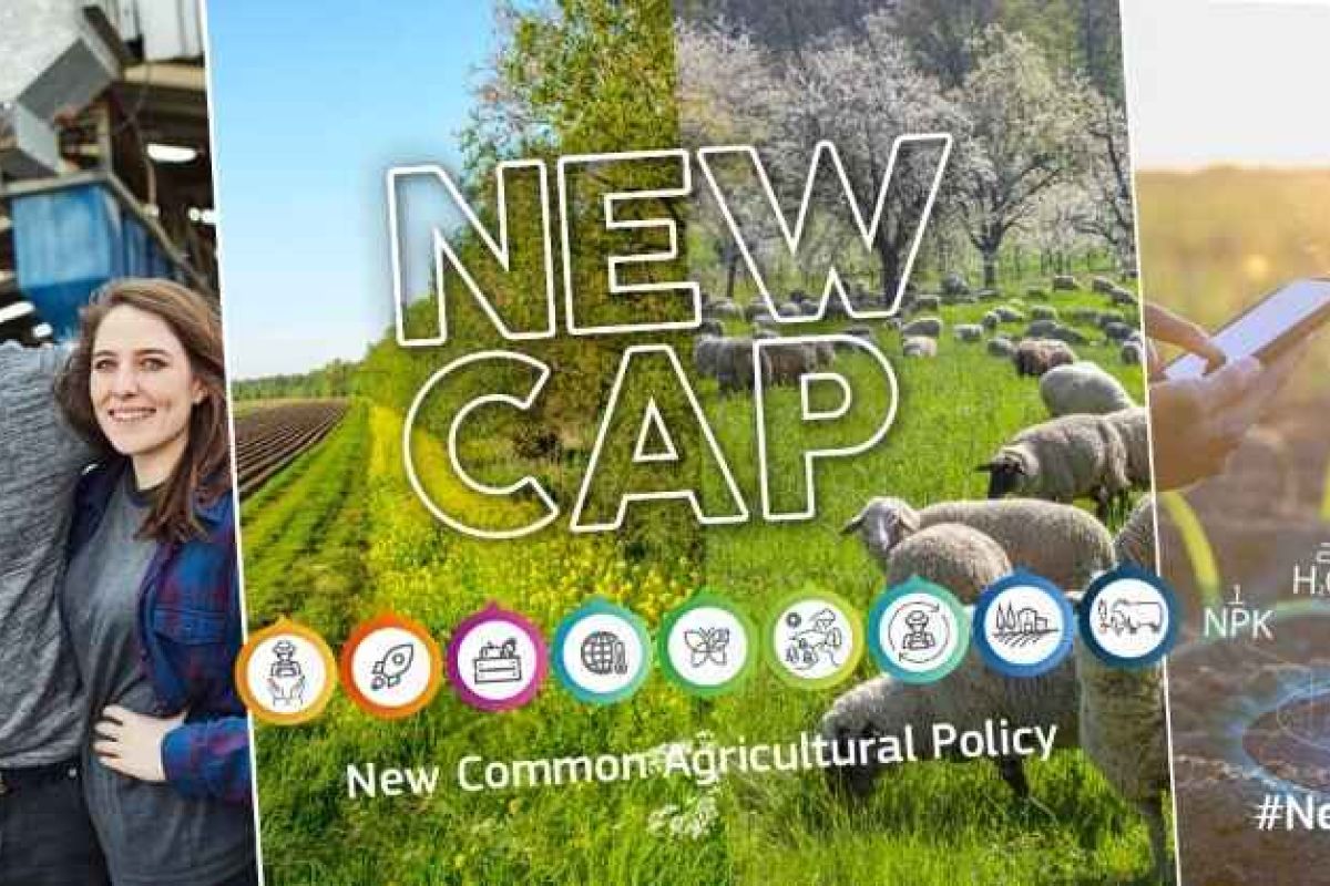 La Comisión aprueba el Plan Estratégico de la PAC 2023-2027 de España