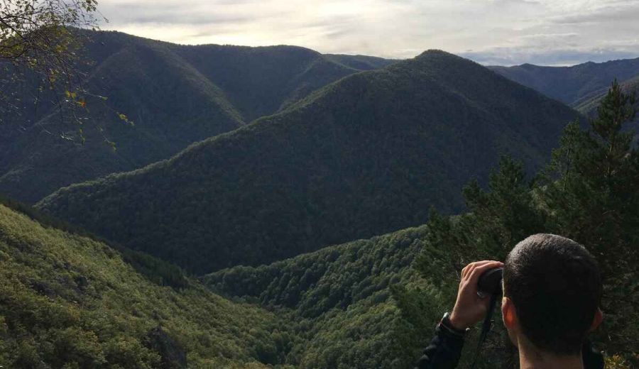 Asturias incrementa un 32% los fondos LEADER y simplifica su gestión