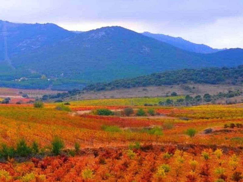 El Ministerio de Agricultura, Pesca y Alimentación impulsa la formación como herramienta de modernización en el medio rural