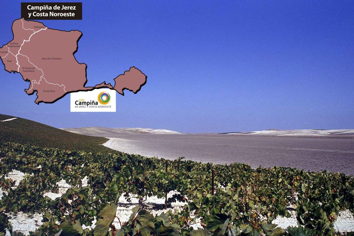 El GDR Campiña de Jerez y Costa Noroeste apoya más de un centenar de proyectos por valor de más de 6M€