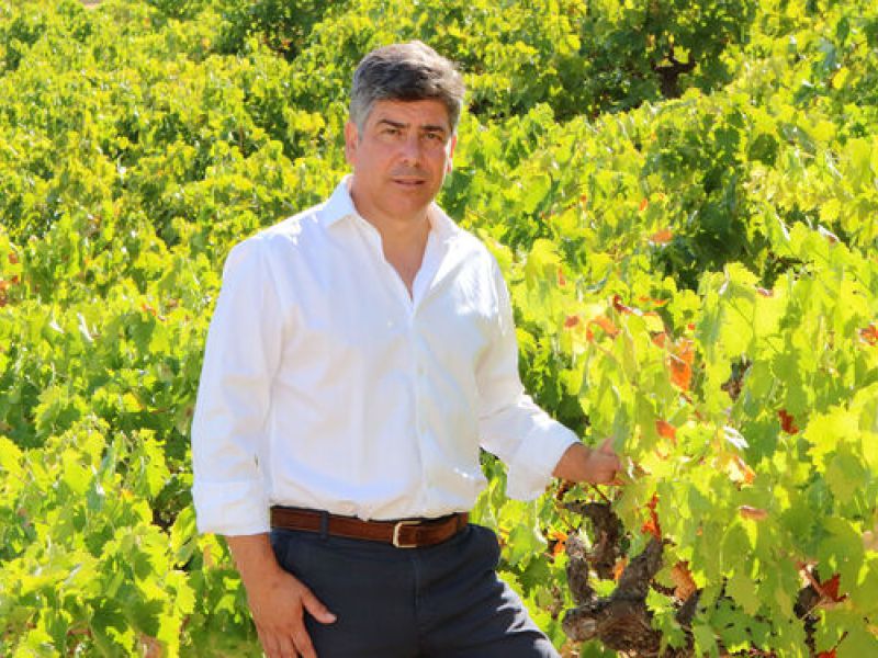 Rafael Llamas: “Los GDR son herramientas para la búsqueda de oportunidades en el medio rural”