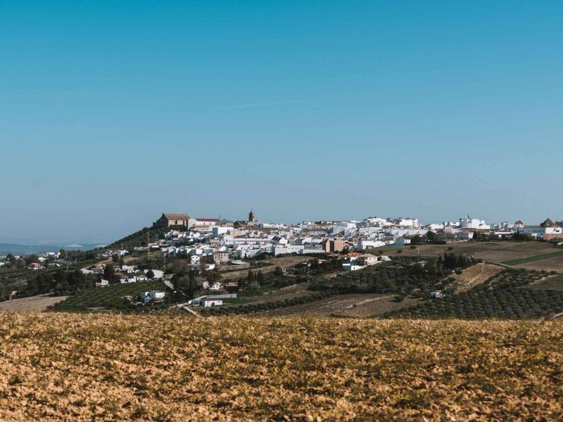 Agricultura publica la resolución provisional de ayudas LEADER para 26 proyectos de la Campiña Sur Cordobesa