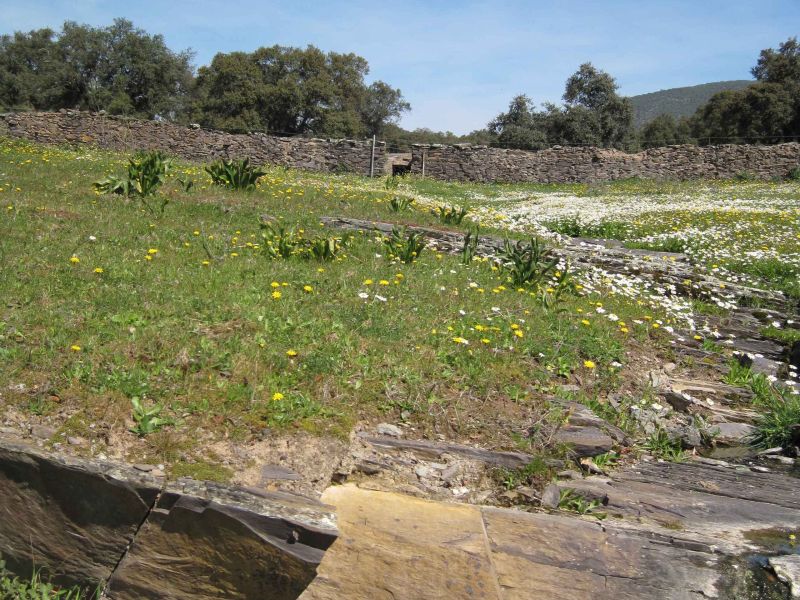 El GDR Sierra de Aracena y Picos de Aroche apoya con LEADER nuevos incentivos a empresas agroalimentarias y asociaciones del territorio