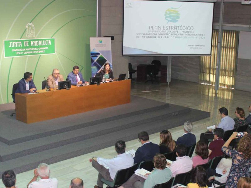Agricultura avanza de la mano del sector andaluz en la elaboración del Plan Estratégico para mejorar la competitividad