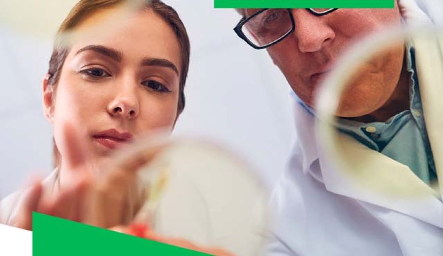 Los Grupos de Desarrollo continúan dinamizando y acompañando a las personas emprendedoras mientras llegan las ayudas