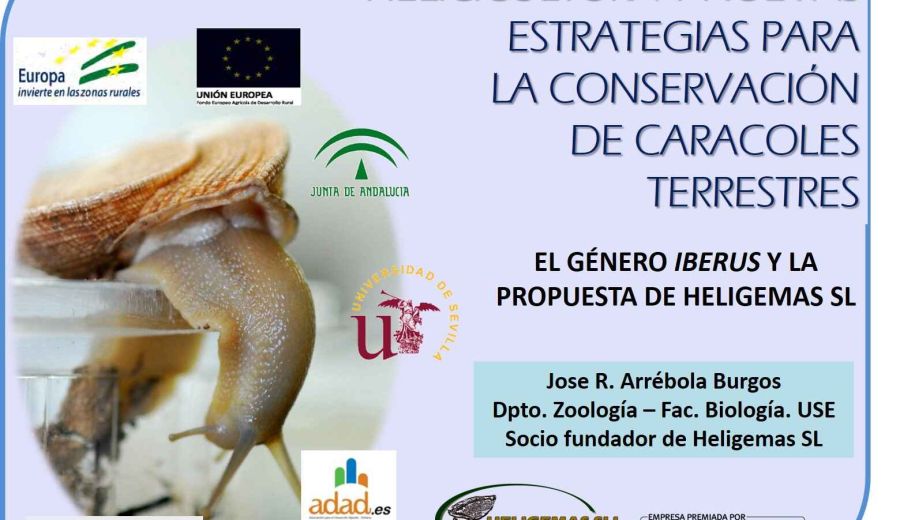 El GO “Innovación en Sistema de Alevinaje y Engorde de Caracoles” participa en el Foro Anual de Malacología en Vigo