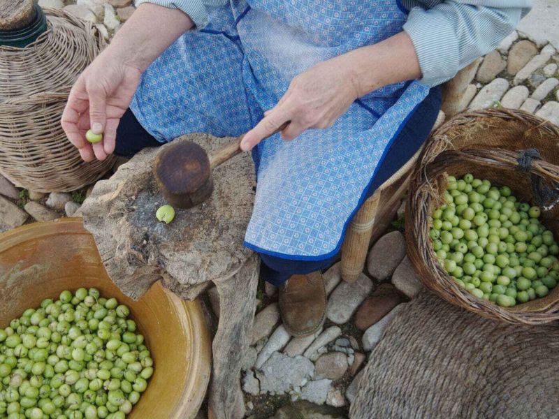El Valle del Guadalhorce, el mejor biodistrito ecológico