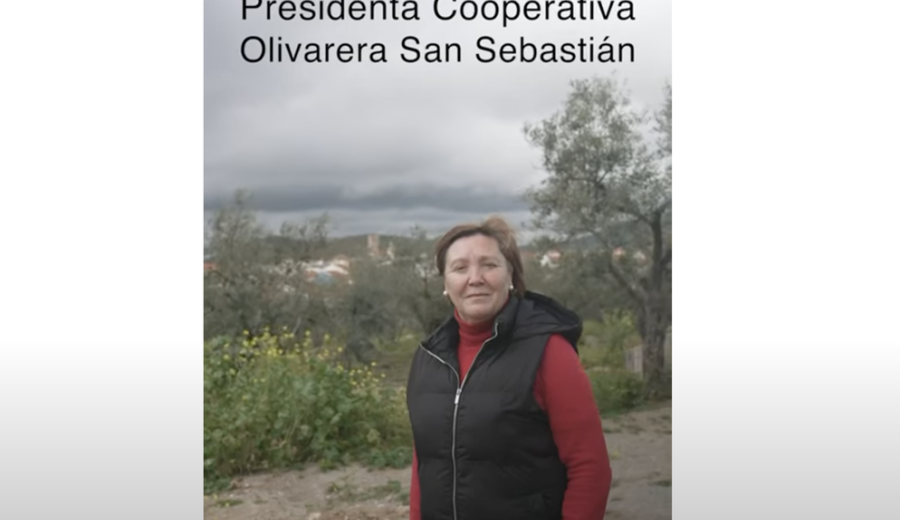 El mejor AOVE del mundo está en manos de mujeres de la Sierra Morena Sevillana
