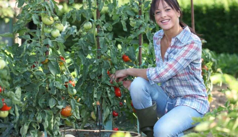 El Ministerio de Agricultura, Pesca y Alimentación convoca los Premios de Excelencia a la Innovación para Mujeres Rurales