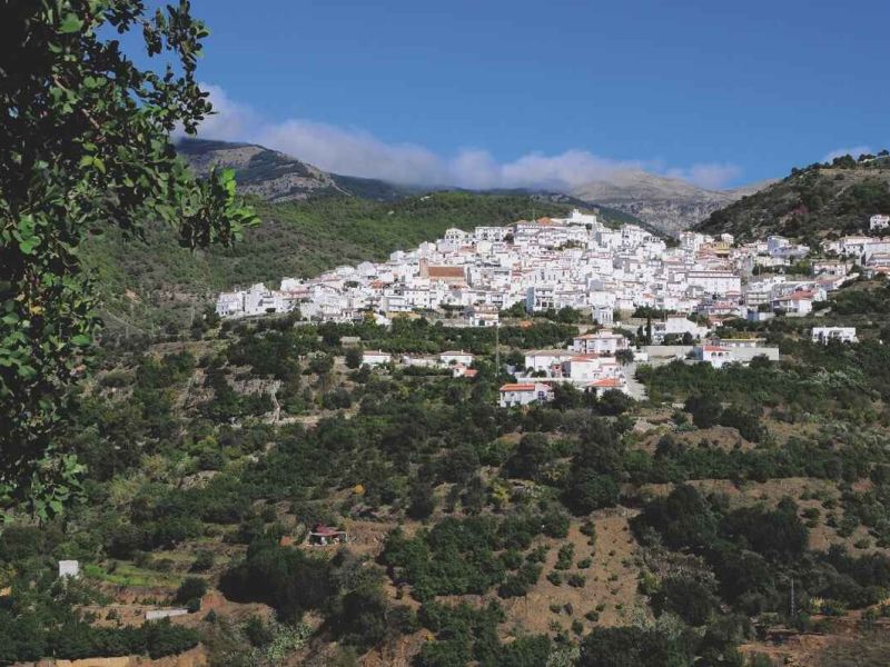Los 10 municipios de Andalucía que más crecieron en 2020 están en zonas rurales