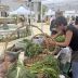 La mayoría de la sociedad española respalda la alimentación sostenible