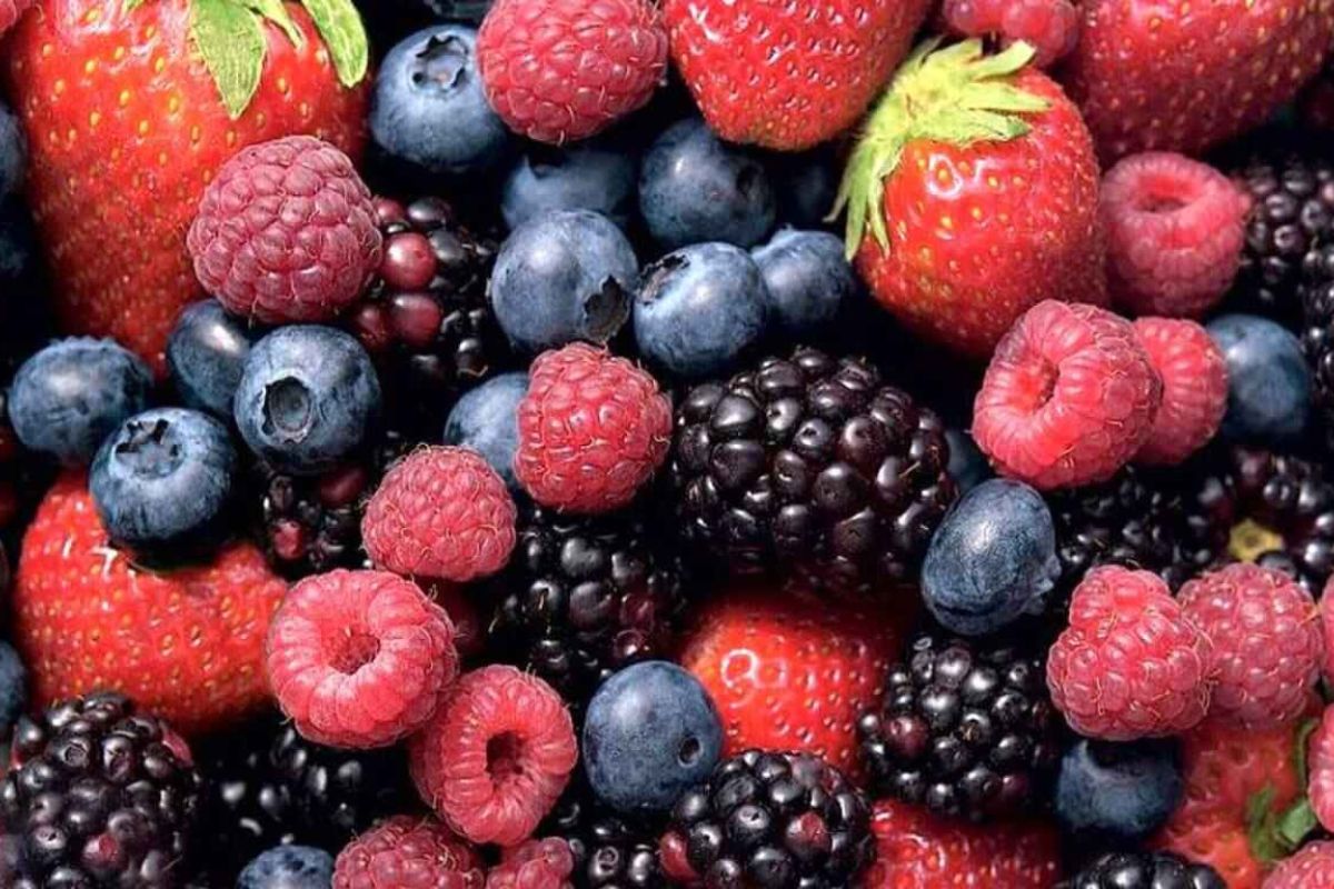La Diputación acuerda impulsar un centro de referencia de frutos rojos en Huelva