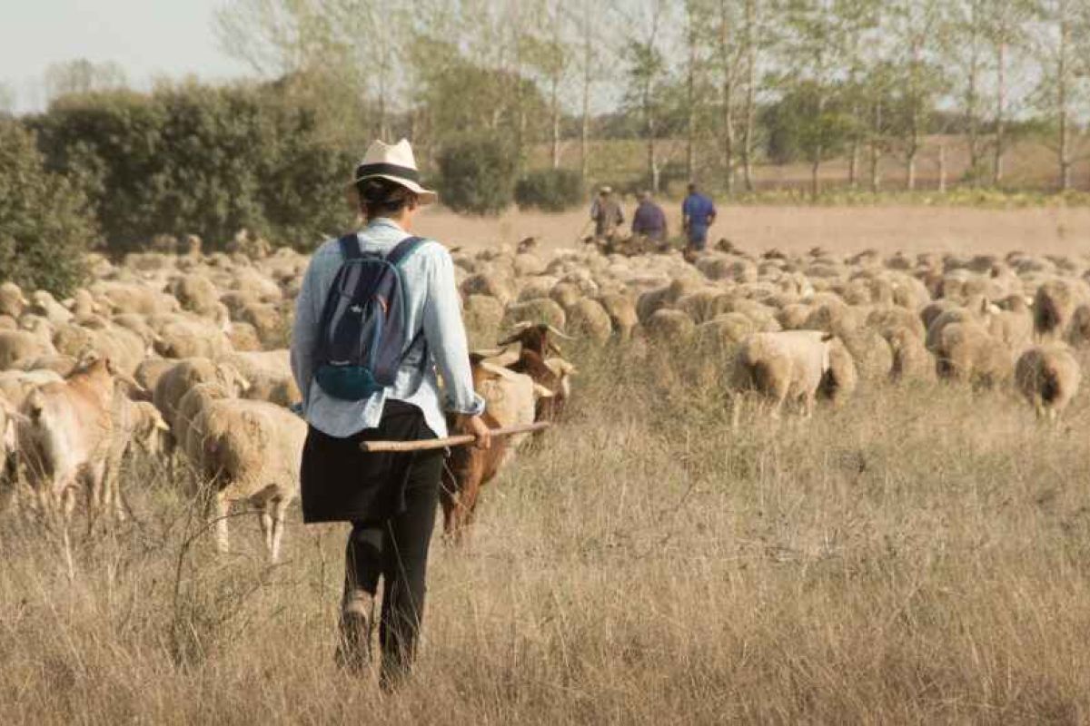La esperanza del clima es rural y violeta