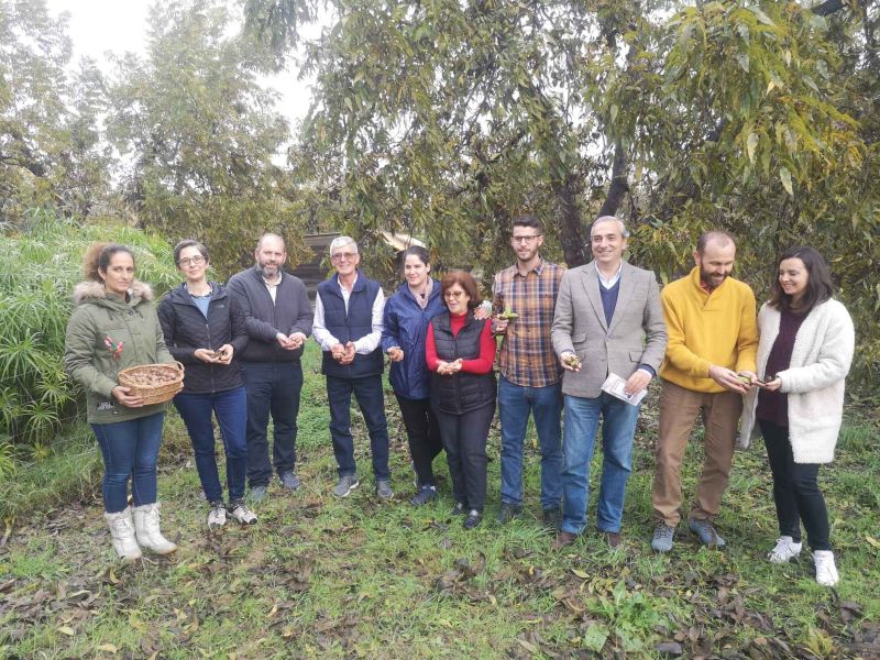 Comienza la temporada de la nuez Pacana en el Valle del Guadalhorce