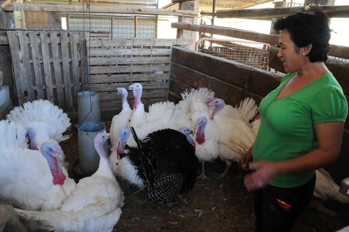 Las mujeres rurales son las cuidadoras del planeta