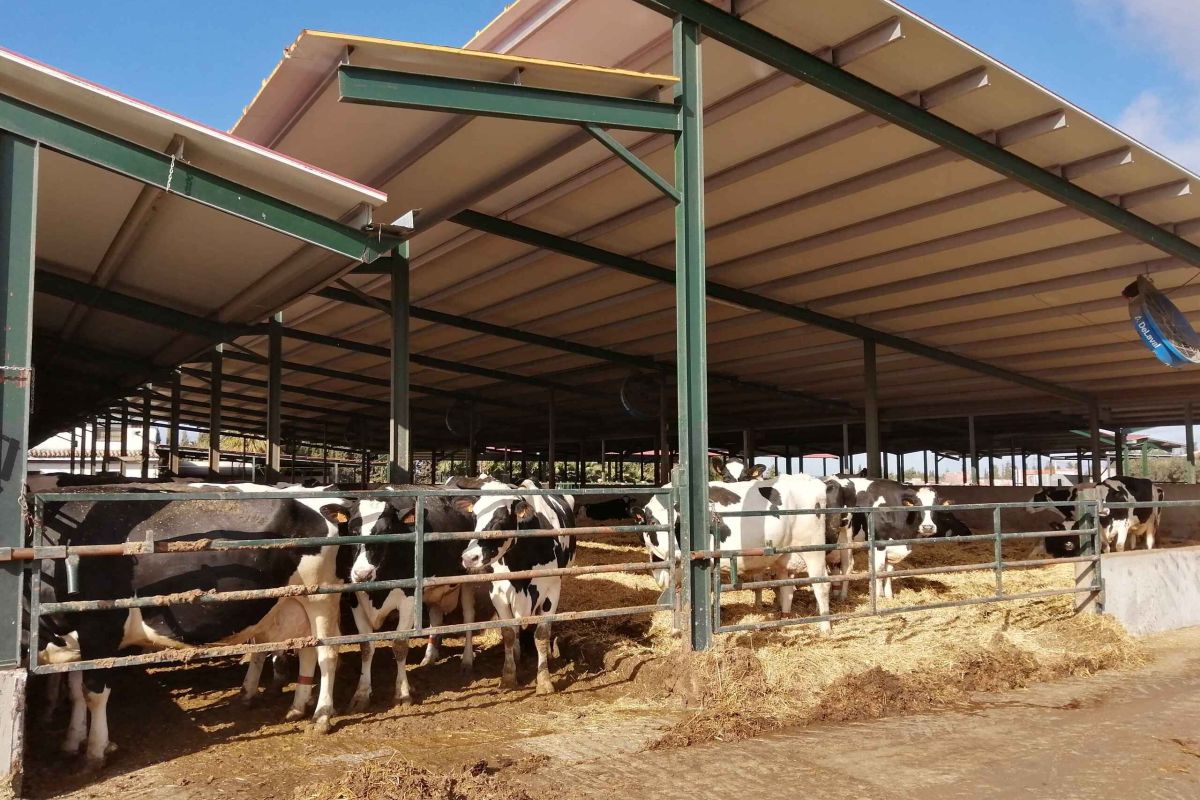 Las ayudas LEADER llegan a pequeñas empresas y al sector agrario de Antequera