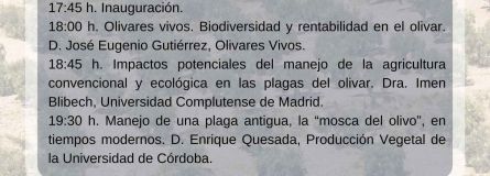 Programa XXII Jornada 98832345