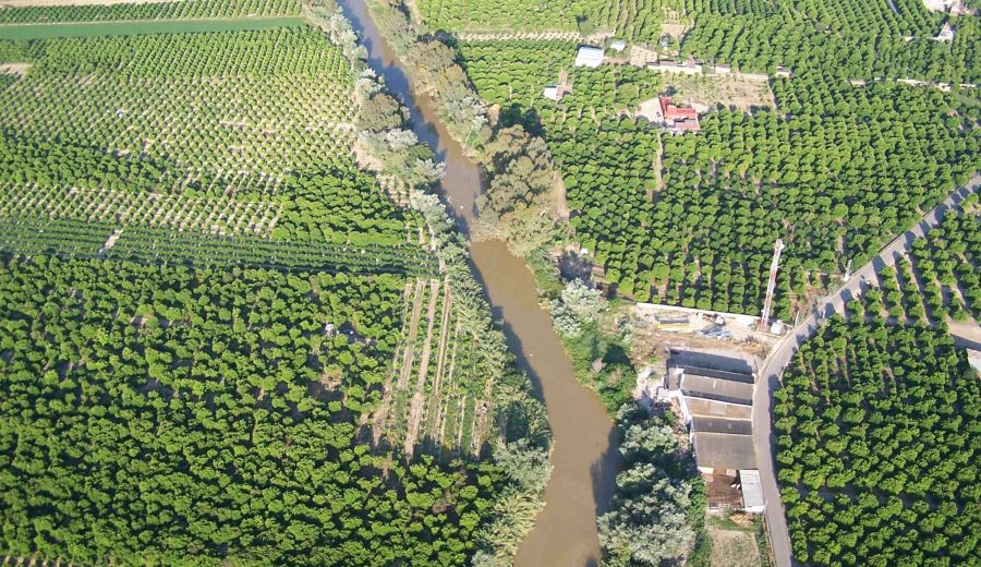 El Observatorio Citrícola emplea nuevas tecnologías de datos para una citricultura más sostenible en el Valle del Guadalquivir