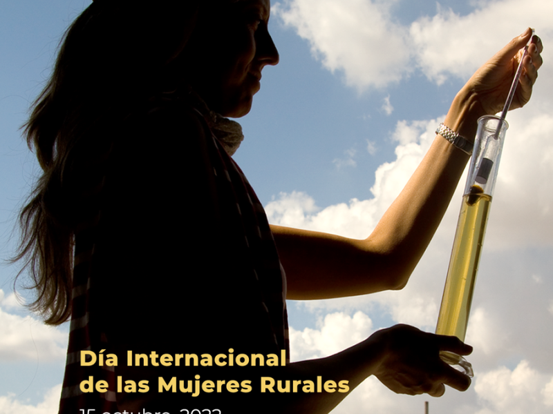 15 de octubre: el talento y creatividad de las mujeres rurales