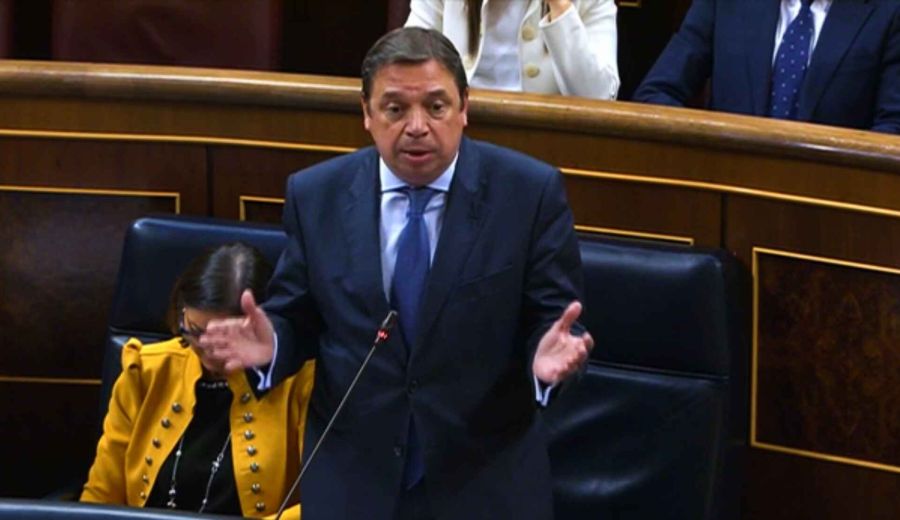 Luis Planas valora positivamente el trabajo del Gobierno en defensa de los agricultores y ganaderos en la PAC