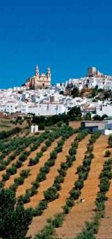 img alfonso moscoso 02 98fc5b3f