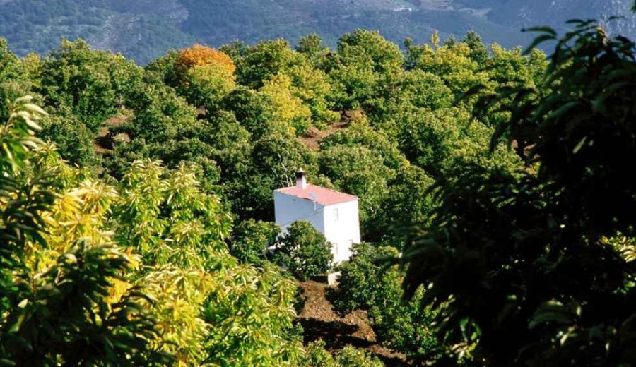 Andalucía es la comunidad autónoma de España con más Reservas de la Biosfera