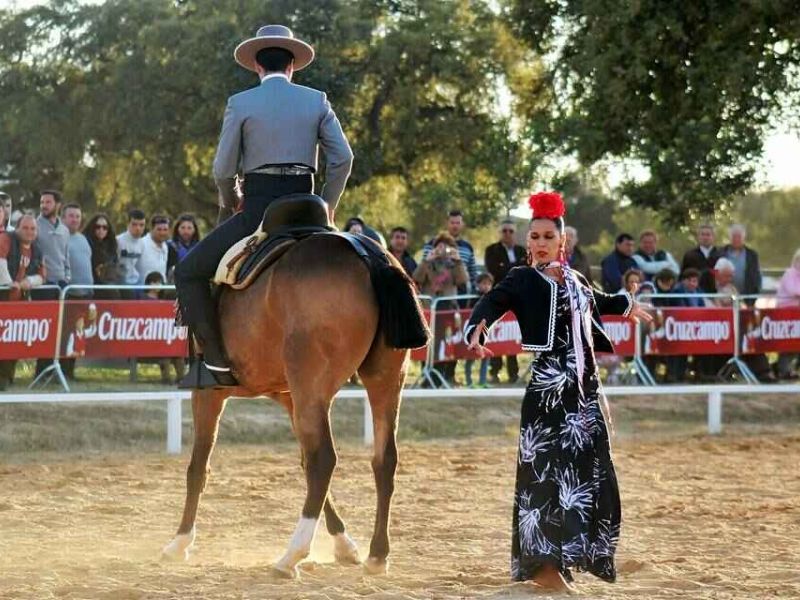 Villamanrique celebra el próximo fin de semana la XXIII Feria de Turismo, Tradiciones, Artesanía y Gastronomía del Aljarafe y Doñana